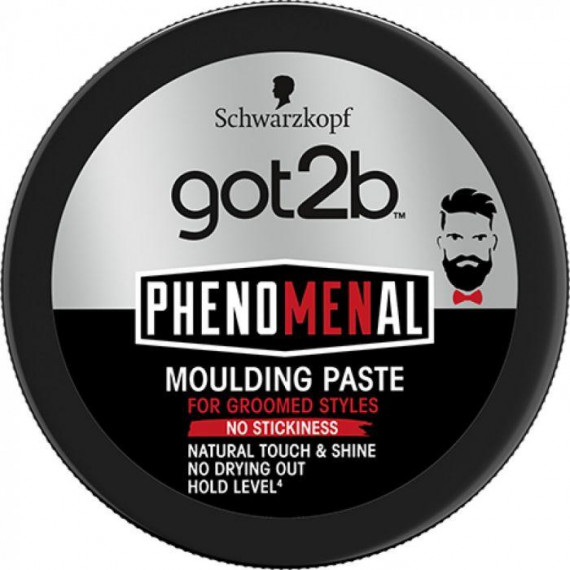 Got2b Phenomenal Modeling - Image 1