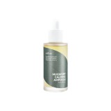 Isntree Mugwort Calming Ampoule Ser de față liniștitor cu extract de pelin