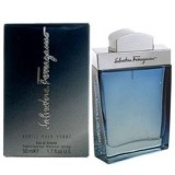 Salvatore Ferragamo Subtil parfum pentru barbati EDT