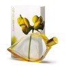 Apa de toaleta KENZO Summer BY 50 ml. pentru femei