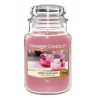 Yankee Candle Sweet Plum Sake Lumanare parfumata