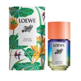 Loewe Paula's Ibiza...