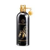 Montale Arabians Tonka...