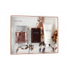 Set cadou Calvin Klein Euphoria pentru bărbați