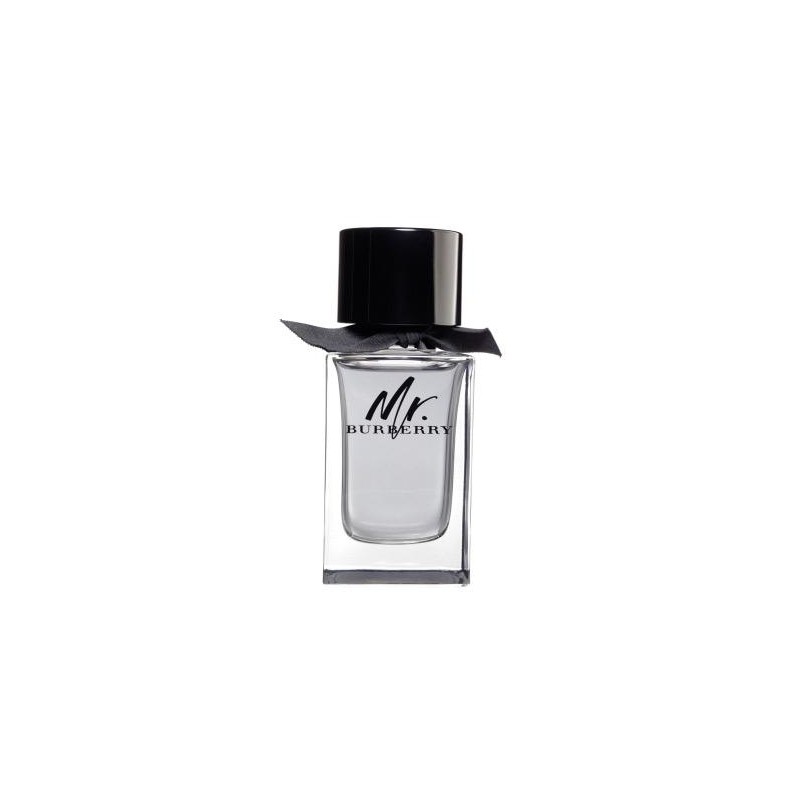 Burberry Mr Burberry Apă de toaletă pentru Bărbați Tester EDT