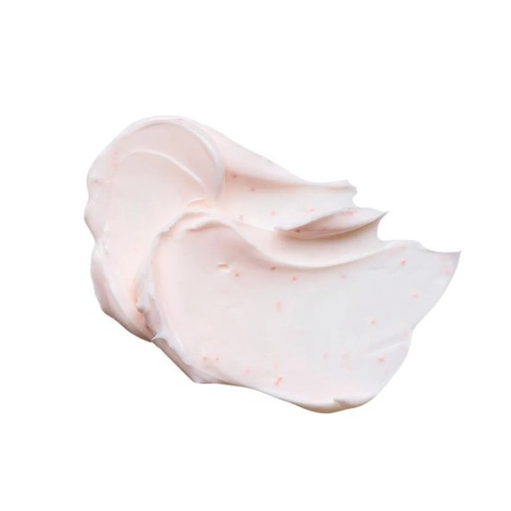 Eisenberg Anti-age Treatment Cremă antirid fermizantă pentru tenul obosit