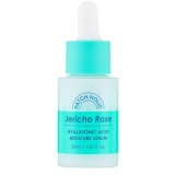 PATCH HOLIC Jericho Rose...