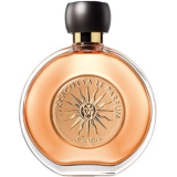 Guerlain Terracotta Le...