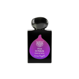 Lorenzo Pazzaglia Ficus In...