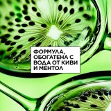 Garnier Fructis Hair Food Kiwi Menthol Mask – Mască pentru păr uscat