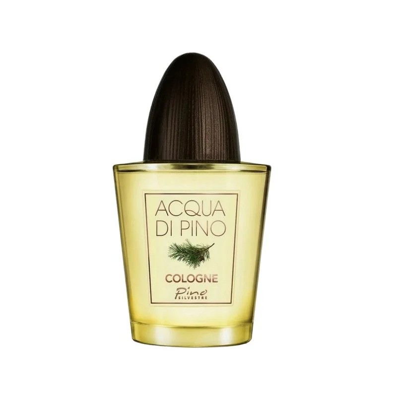 Pino Silvestre Acqua Di Pino Köln Köln pentru bărbați fără ambalaj EDC Volum 125 ml