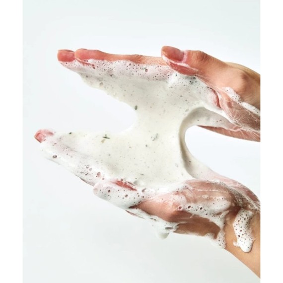 Anua Heartleaf Quercetinol Pore Deep Cleansing Foam Spumă de curățare pentru față