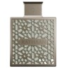 Rayhaan Terra Apă de parfum pentru Bărbați EDP