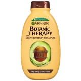 Garnier Botanic Therapy...