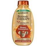 Garnier Botanic Therapy...