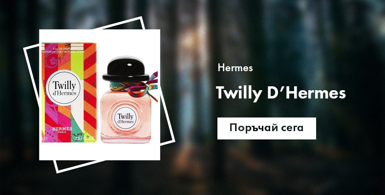 Hermes Twilly D`Hermes