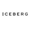 Iceberg