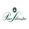 Pino Silvestre